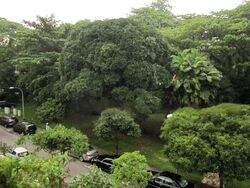 Newton Edge (D9), Apartment #477540701